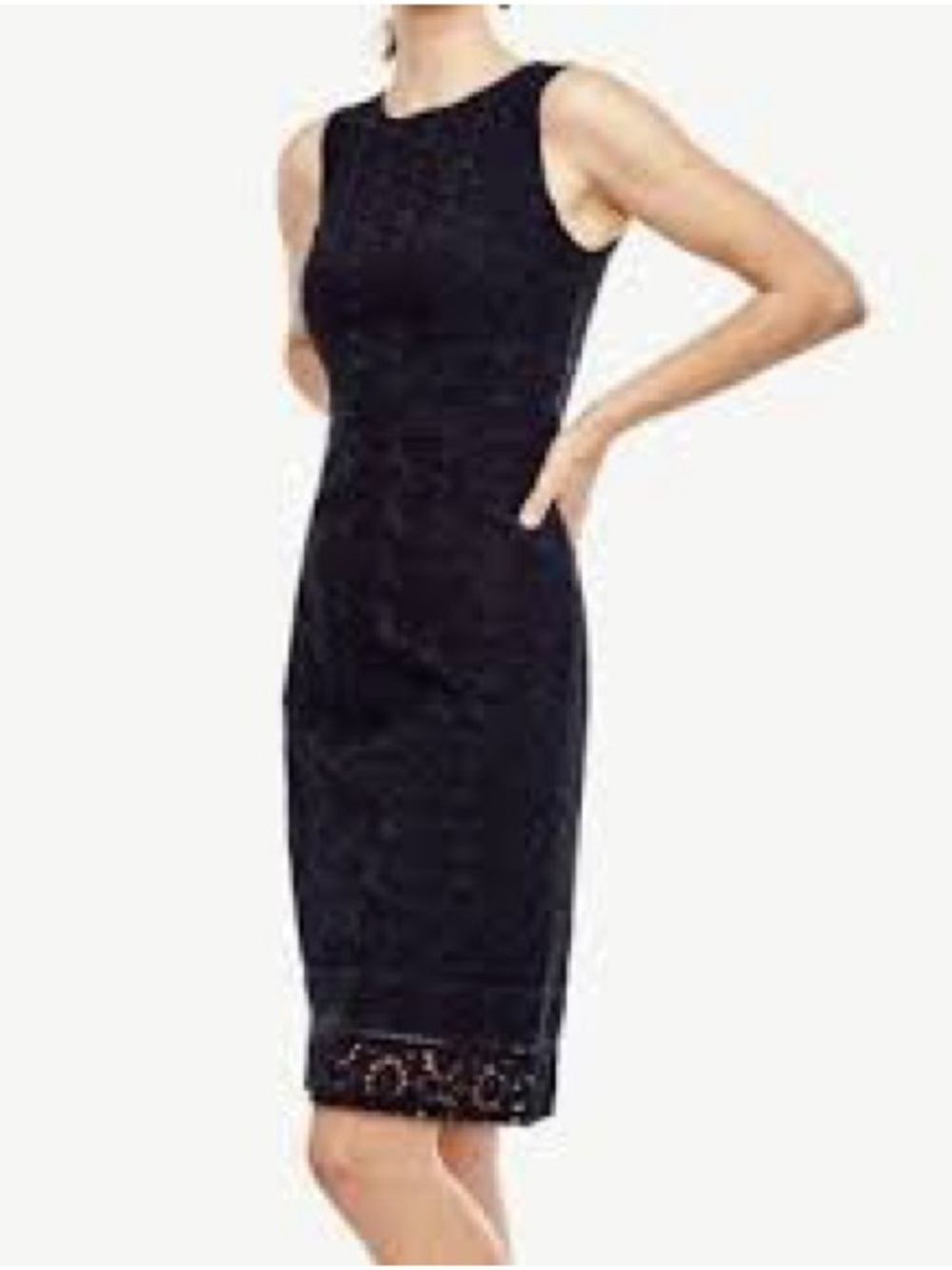 Planet blue Black Sleeveless Lace-Hem Sheath Dress